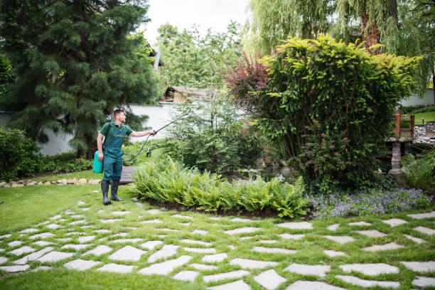 Best Pest Removal Services  in Highland Village, TX