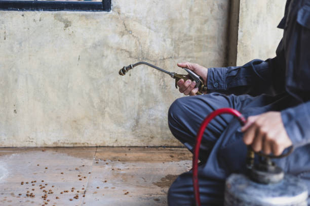 Best Pest Prevention Services  in Highland Village, TX
